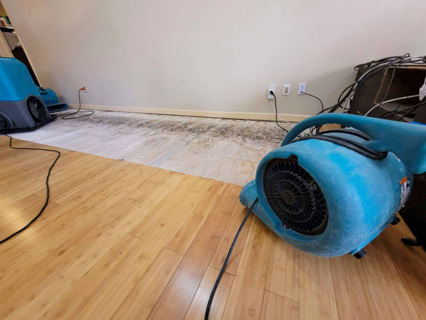 Professional Water Damage Repair technician working in Cambria, CA